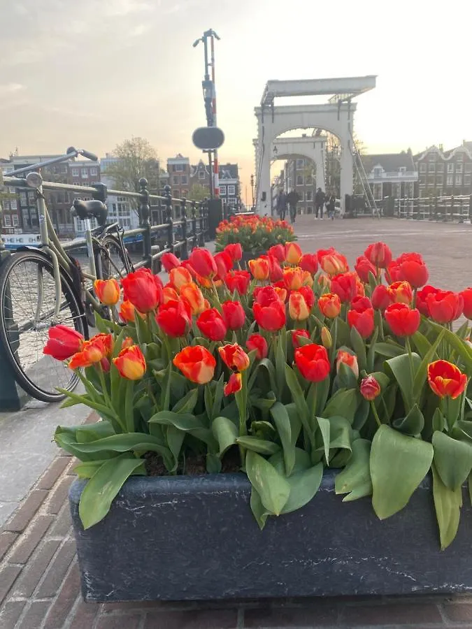 Amstel Boutique Studio Amsterdam Bed & Breakfast